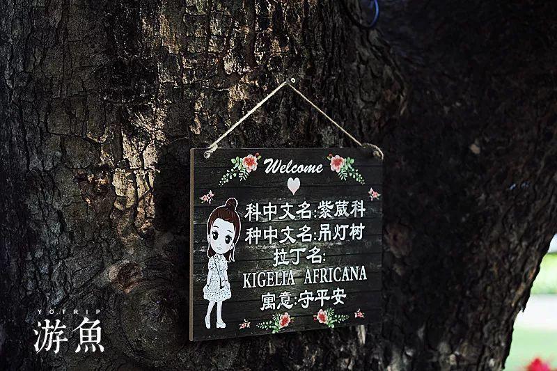 亚马逊期权聚焦:1月23日成交32.58万张,未平仓合约428.59万张
