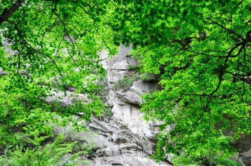 河北故城：村民巧手蒸花馍 金龙送福迎新春