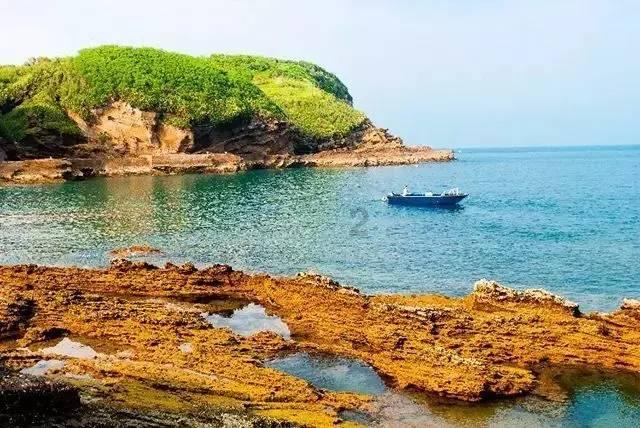 细胞分裂4